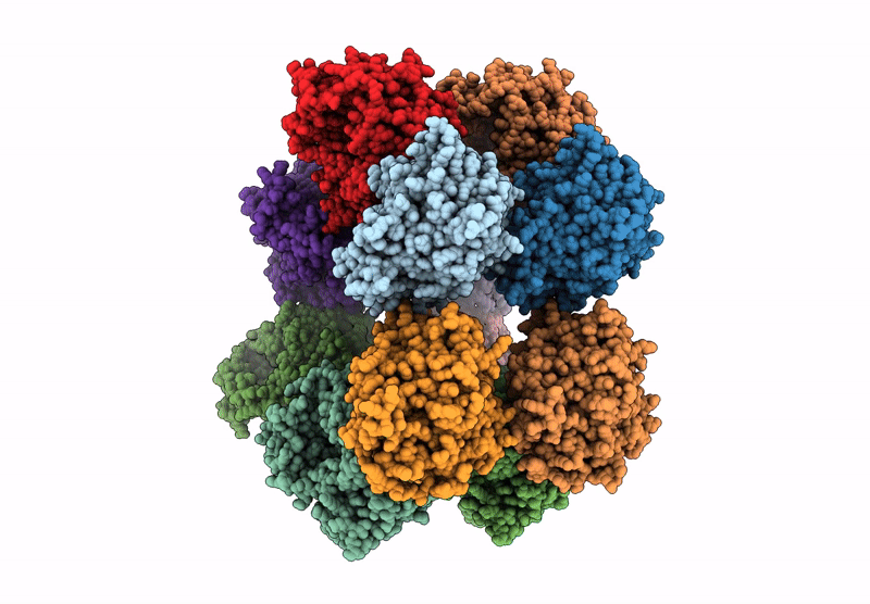 9IQB image
