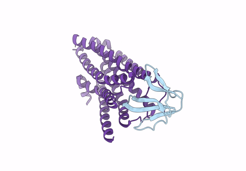 9IQV image