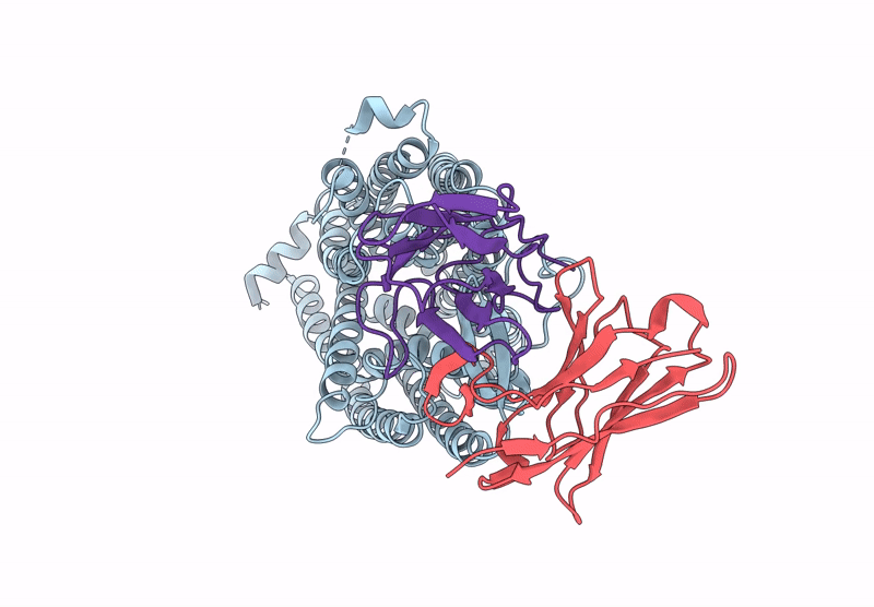 9IRB image
