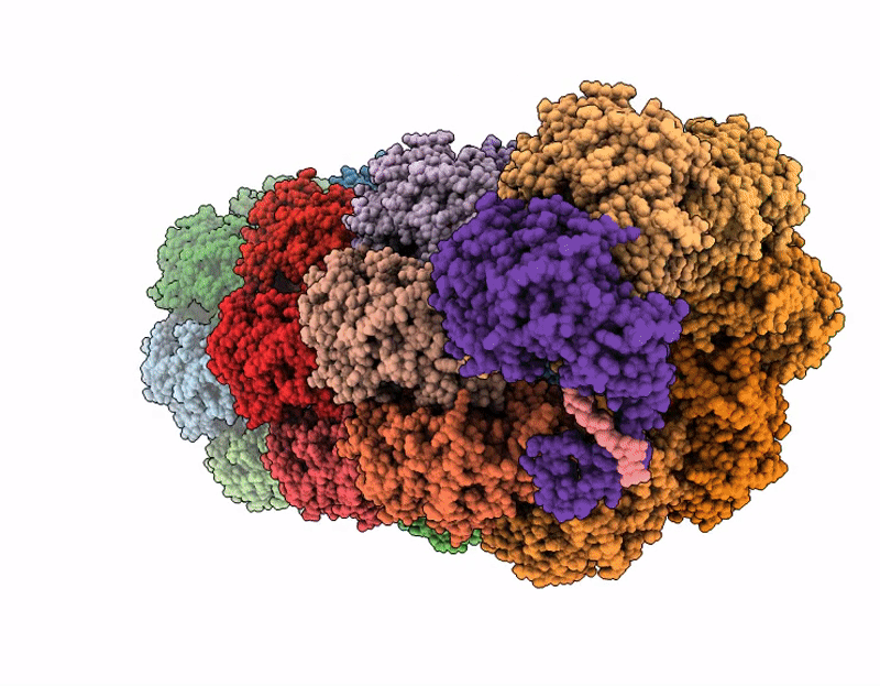 9IRG image