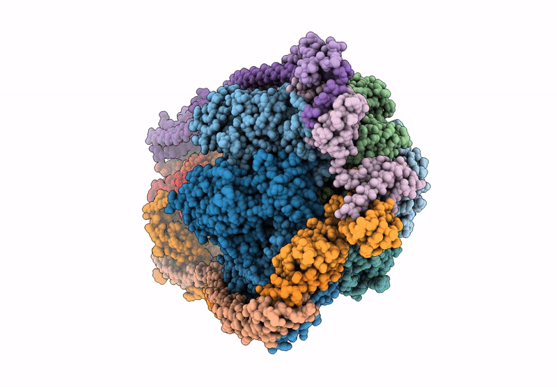 9ITJ image