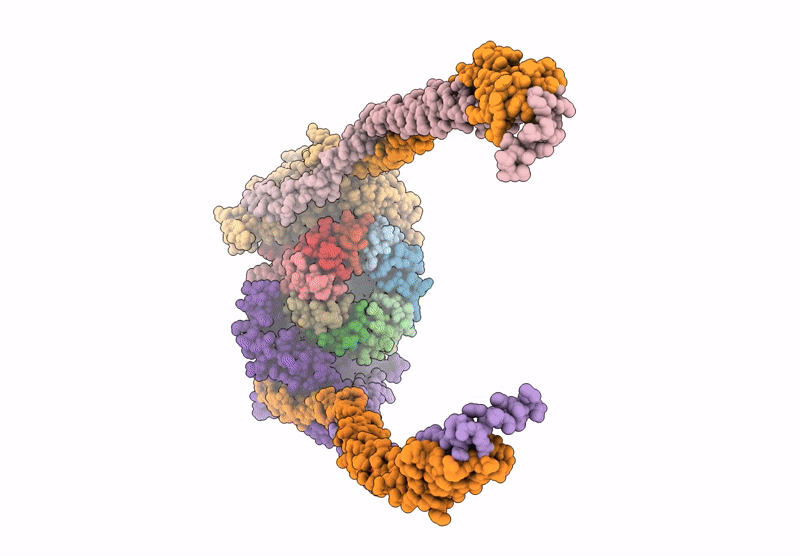 9ITN image