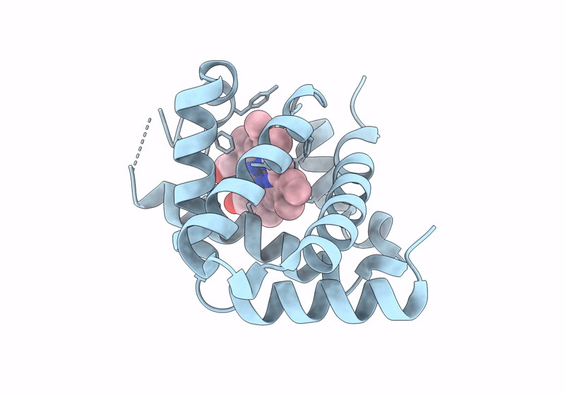 9IUX image