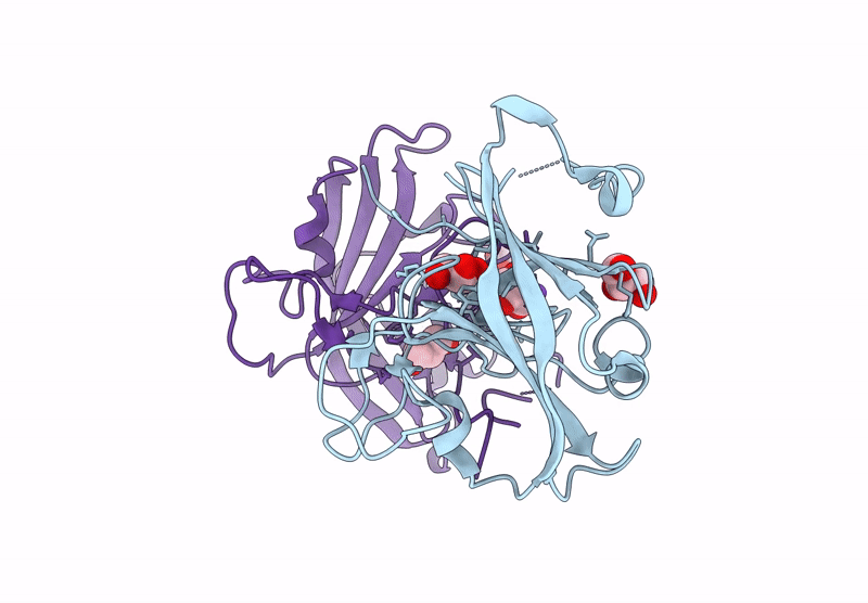 9IV0 image