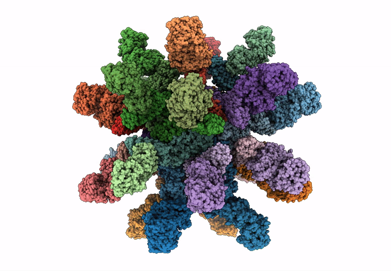 9IVP image