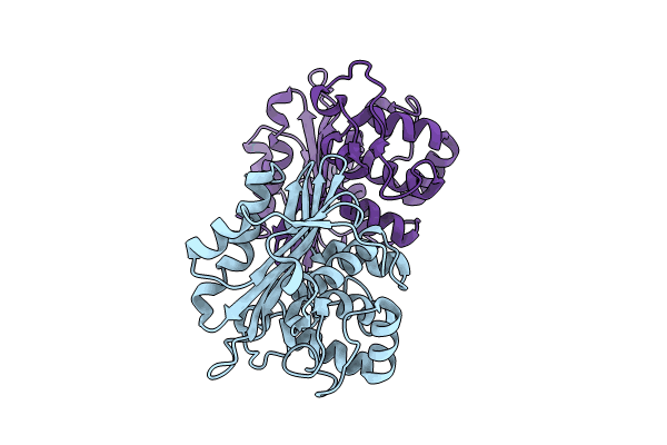 9IXN image