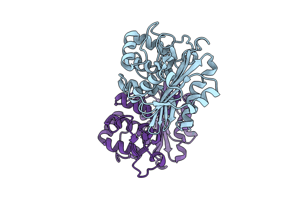 9IXP image