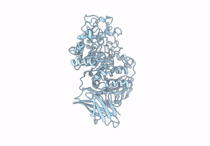 9IXW image