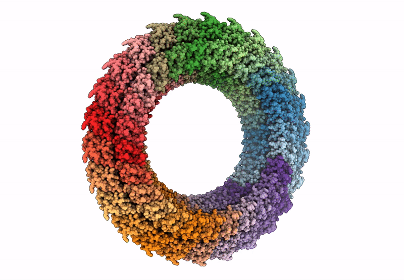 9IYC image