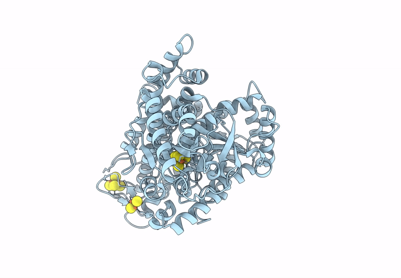 9IYT image