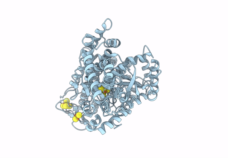 9IYU image