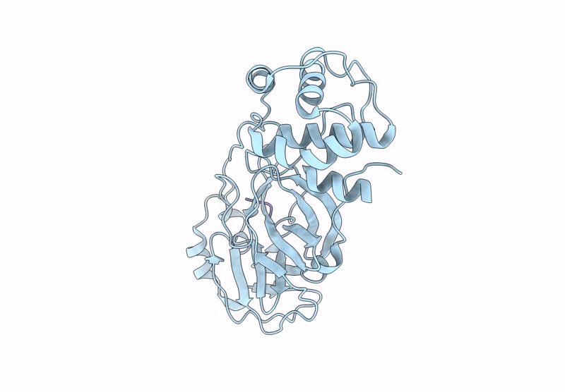 9IZB image
