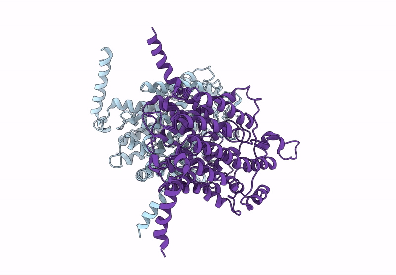 9J12 image