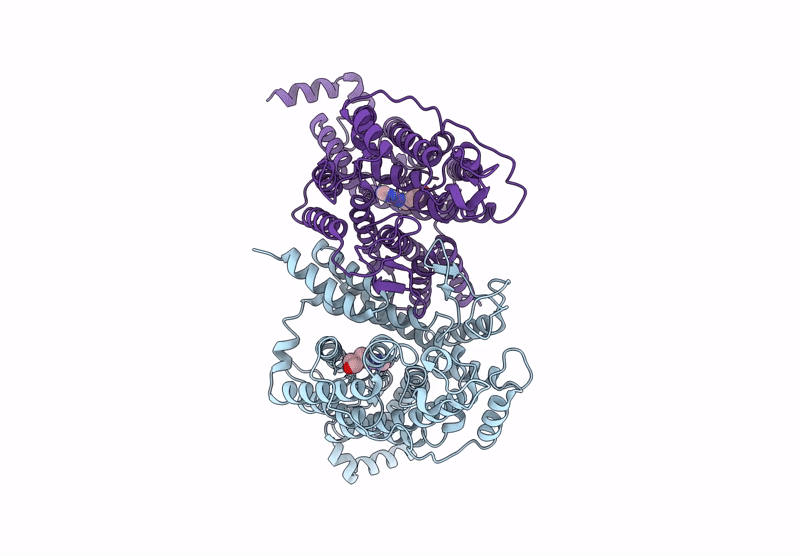 9J14 image