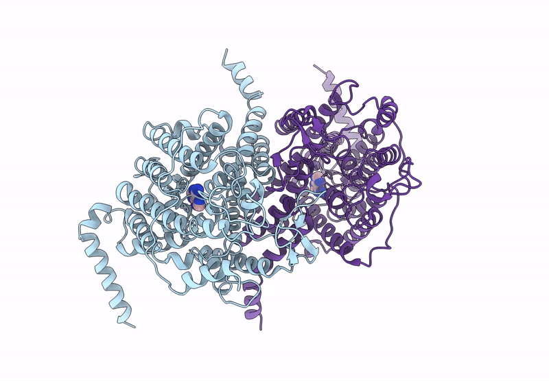9J15 image