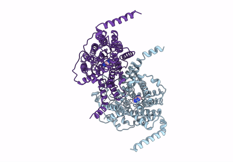 9J16 image