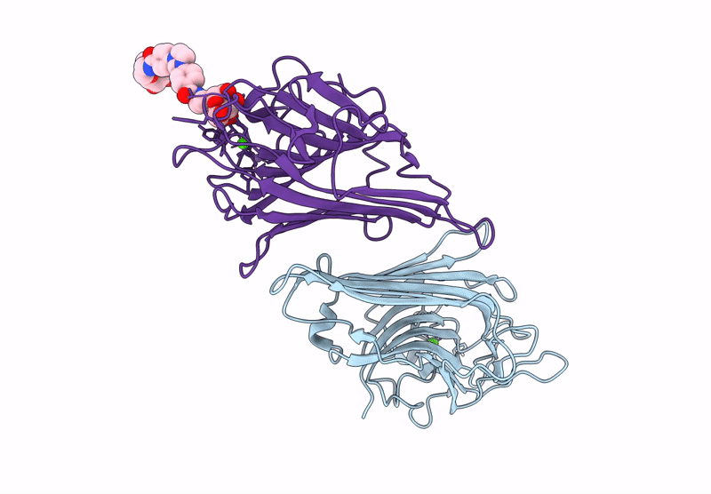 9J1B image