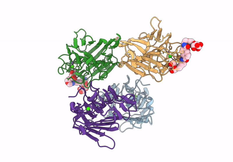9J1C image