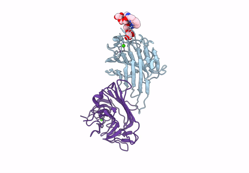 9J1D image