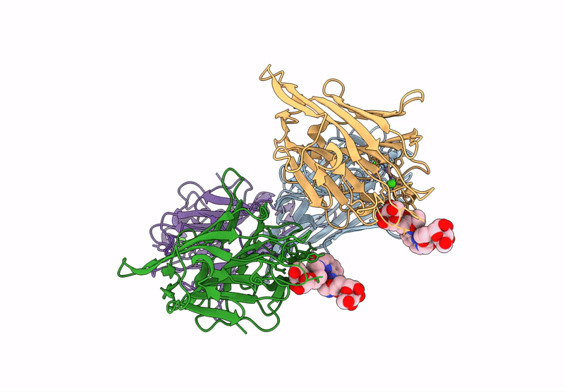 9J1F image
