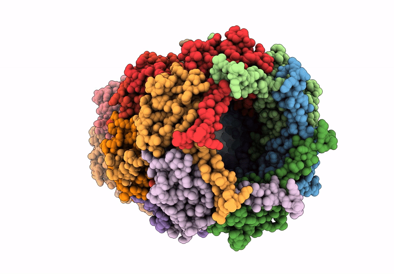 9J1J image