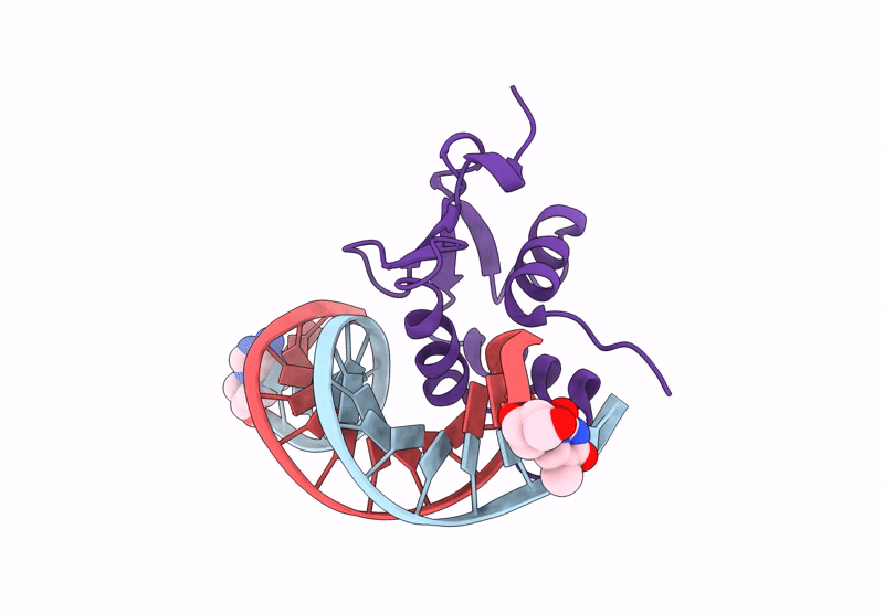 9J1N image