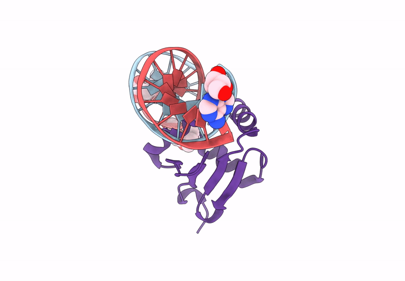 9J1O image
