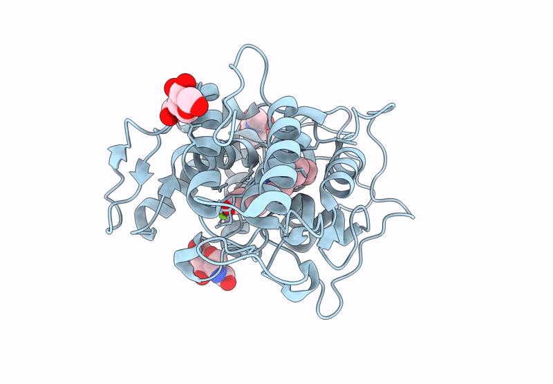 9J1Q image