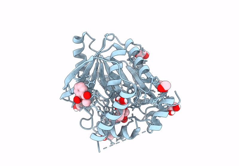 9J1V image