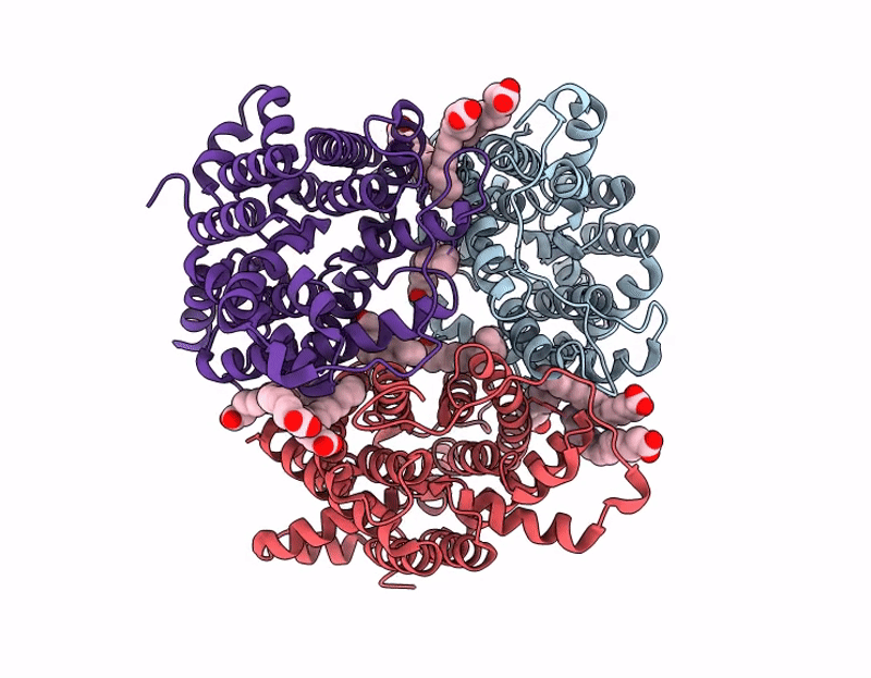 9J22 image
