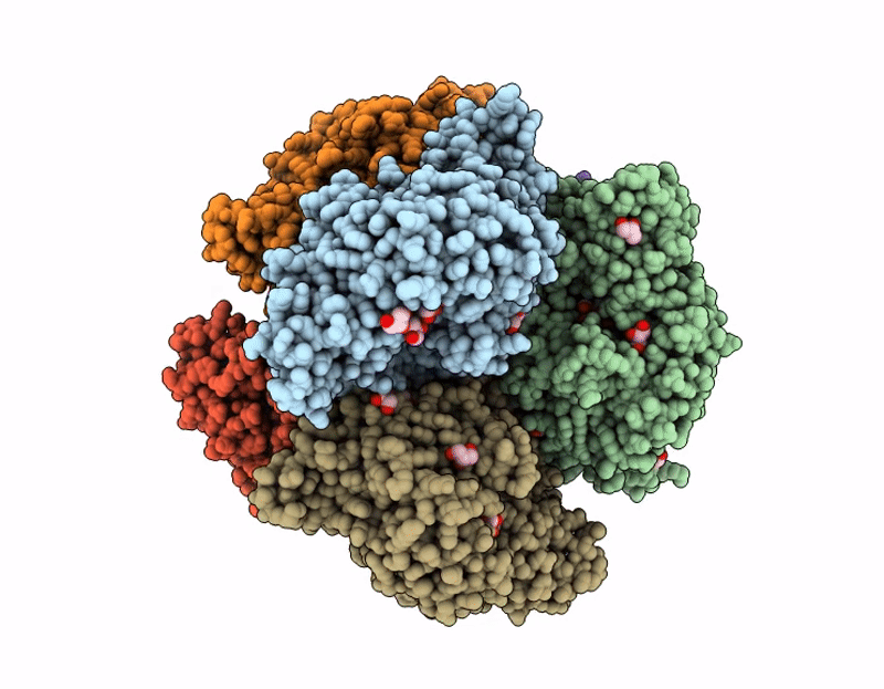 9J24 image