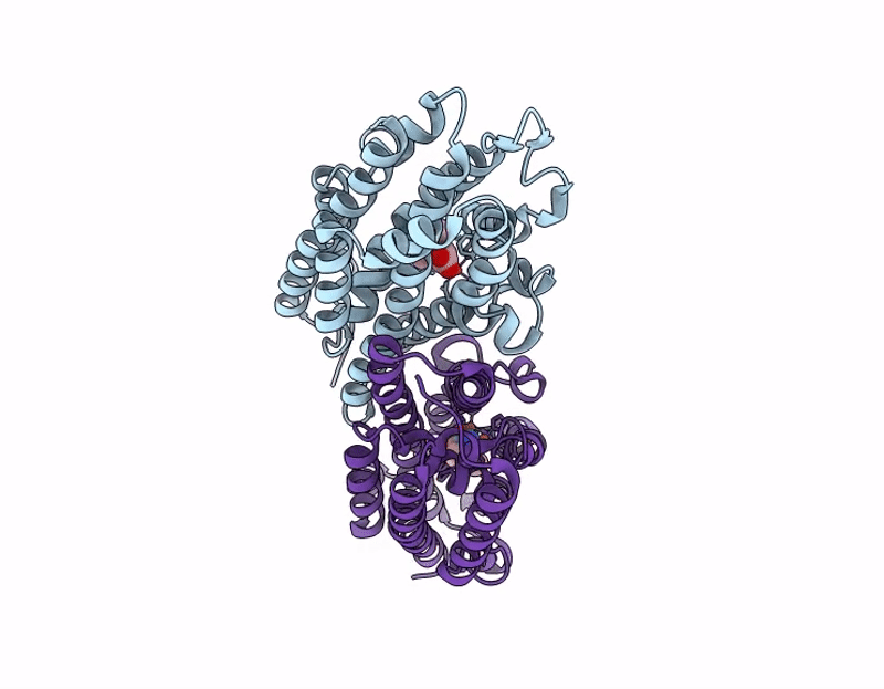 9J2A image