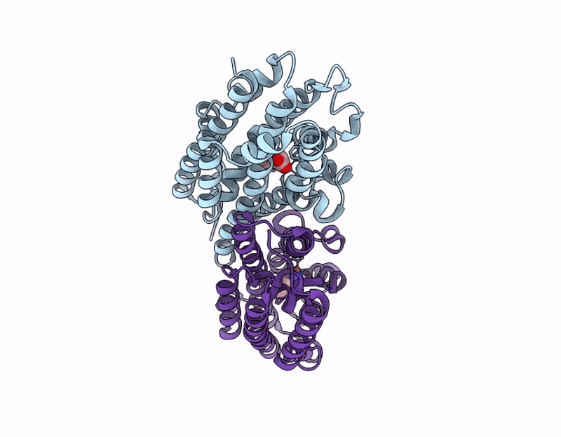 9J2C image