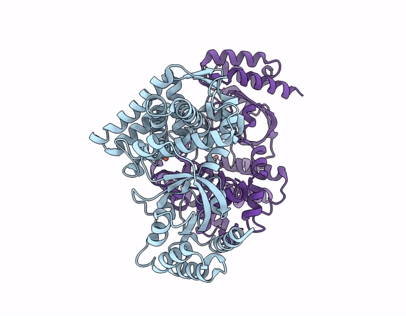 9J2E image