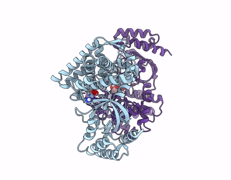 9J2M image