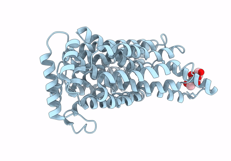9J2N image