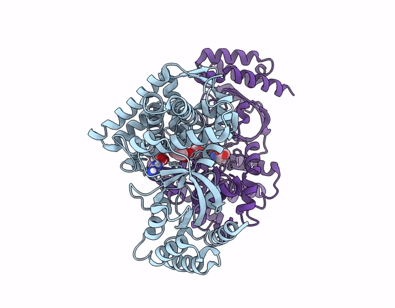 9J2P image