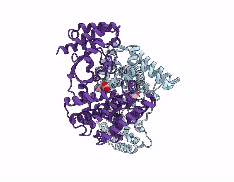9J2R image