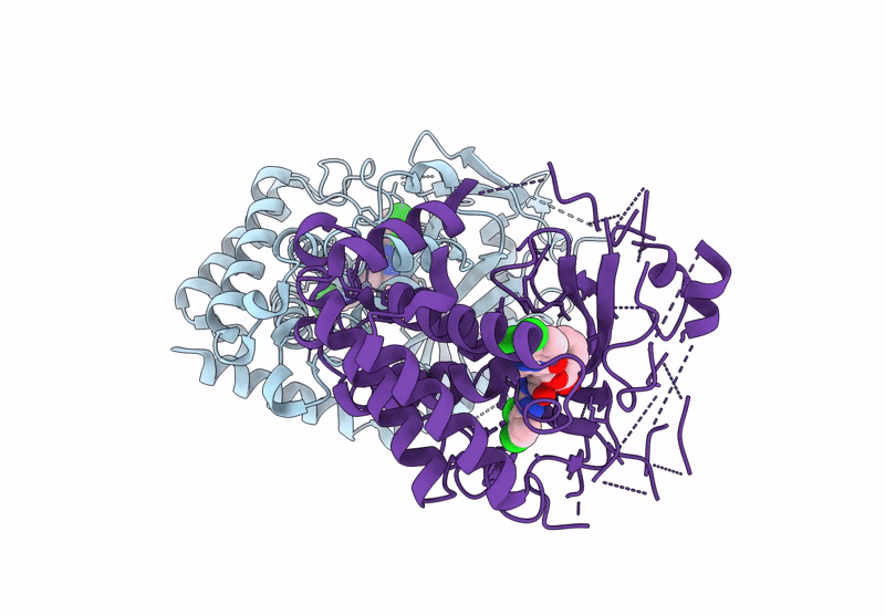 9J2X image