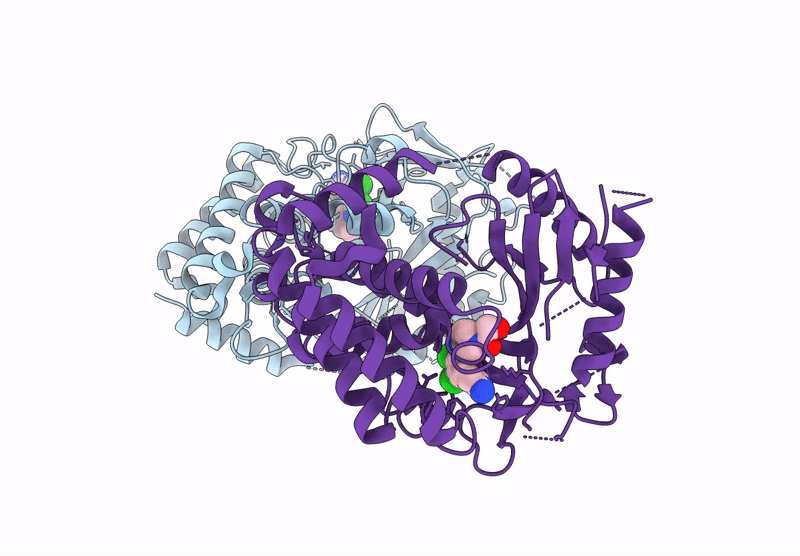 9J2Y image