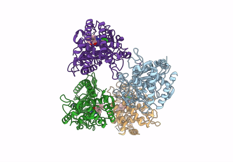 9J2Z image