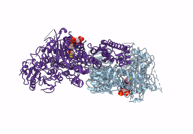 9J3C image