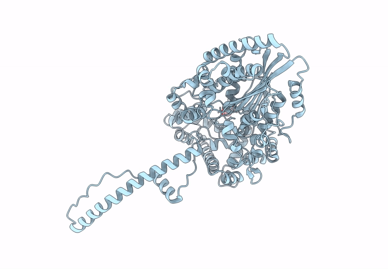 9J3F image