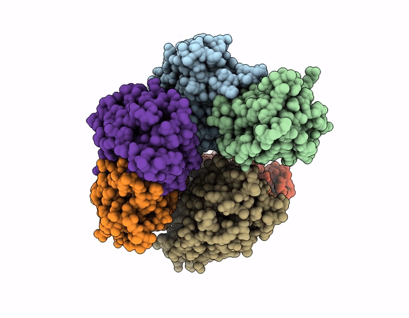 9J3V image