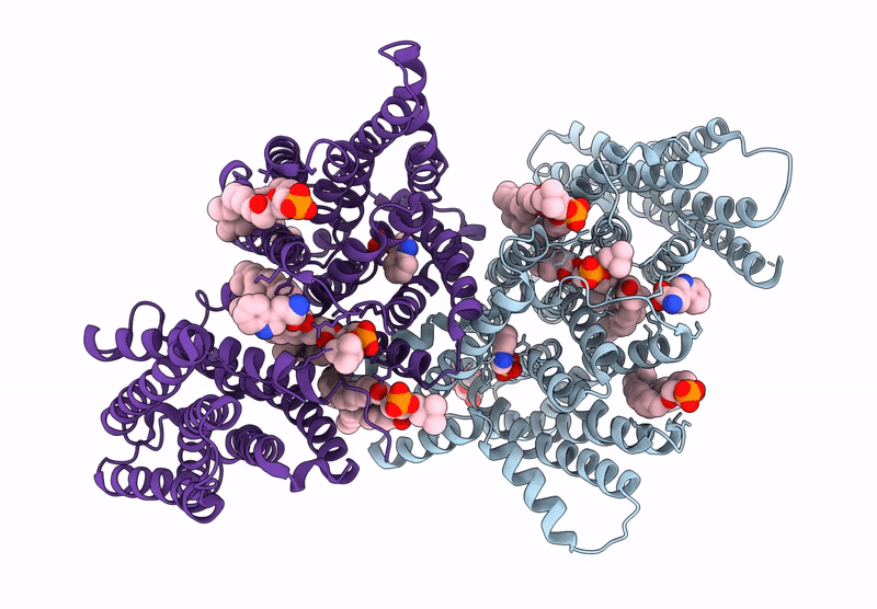 9J40 image