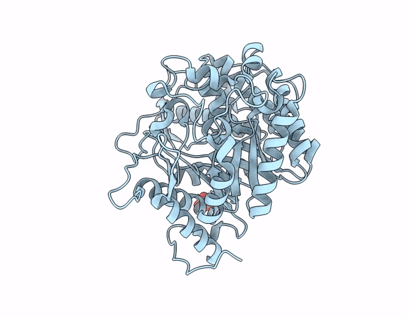 9J41 image