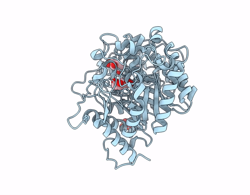 9J42 image