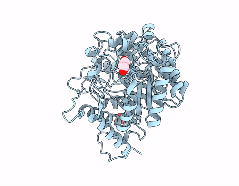 9J43 image