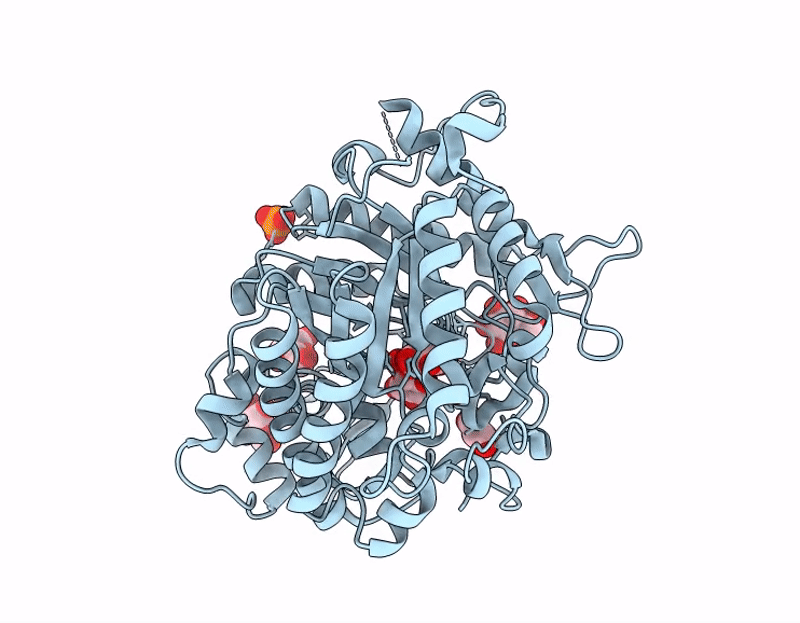 9J44 image
