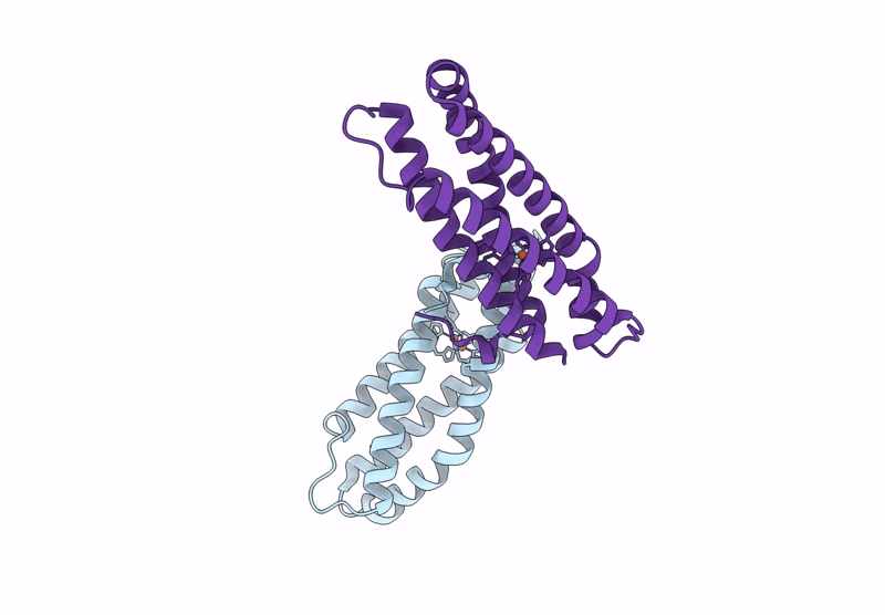 9J47 image